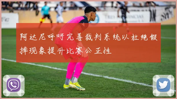 阿达尼呼吁完善裁判系统以杜绝假摔现象提升比赛公正性