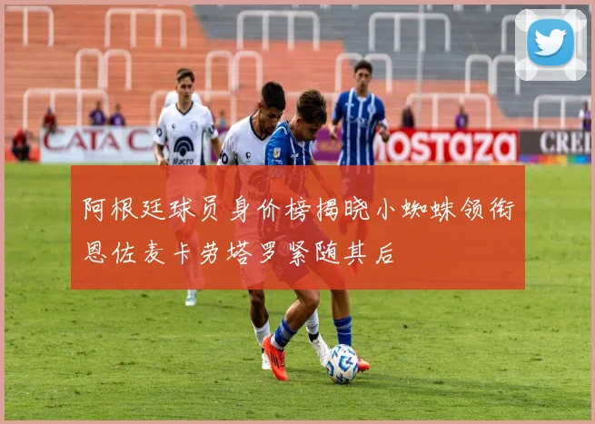 阿根廷球员身价榜揭晓小蜘蛛领衔恩佐麦卡劳塔罗紧随其后